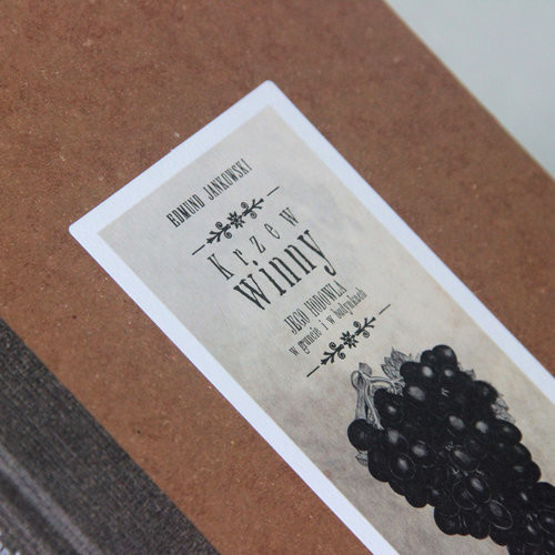 okładka Krzew winny Reprint wydania z 1885 r. książka | Edmund Jankowski