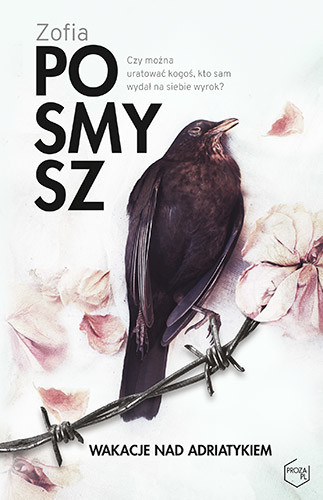 okładka Wakacje nad Adriatykiem książka | Zofia Posmysz