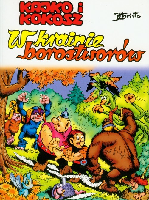 okładka Kajko i Kokosz W krainie Borostworów książka | Janusz Christa
