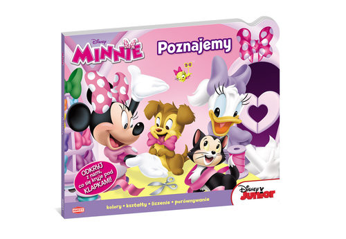 okładka Minnie i Daisy Poznajemy DFL4 książka