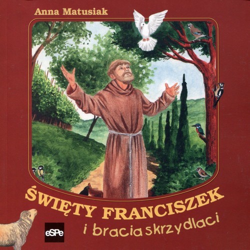 okładka Święty Franciszek i bracia skrzydlaci książka | Anna Matusiak