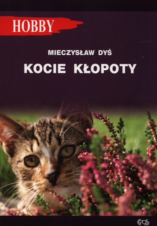 okładka Kocie kłopoty książka | Dyś Mieczysław