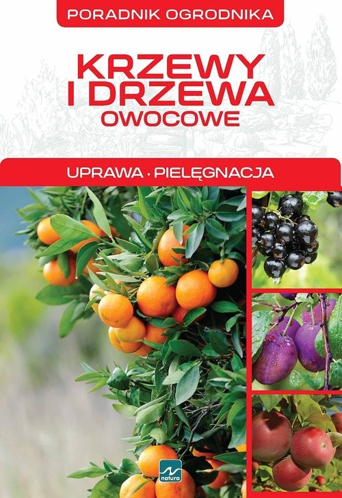 okładka Krzewy i drzewa owocowe książka | Mazik Michał