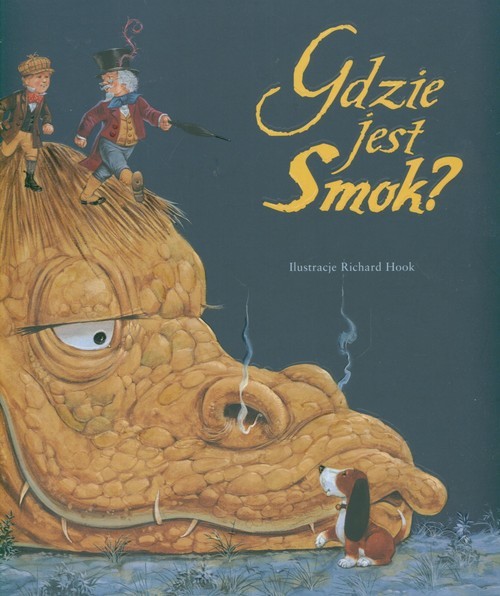 okładka Gdzie jest smok? książka