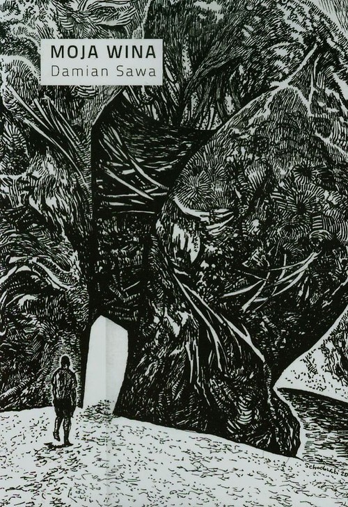 okładka Moja wina książka | Sawa Damian