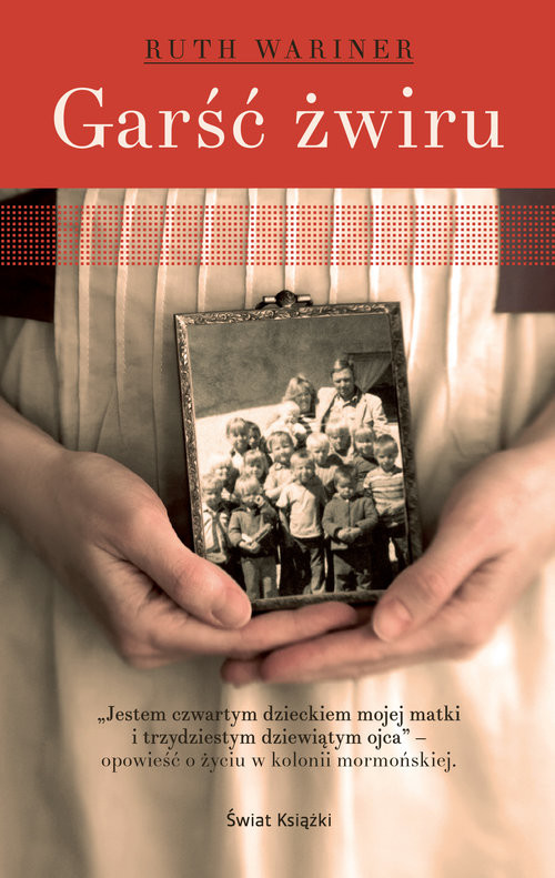 okładka Garść żwiru książka | Wariner Ruth