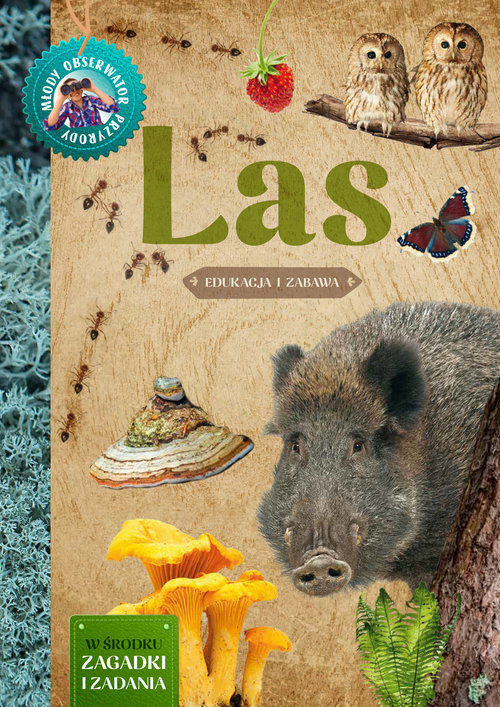 okładka Las Młody Obserwator Przyrody książka | Hanna Będkowska