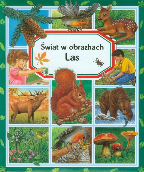 okładka Las Świat w obrazkach książka | Emilie Beaumont