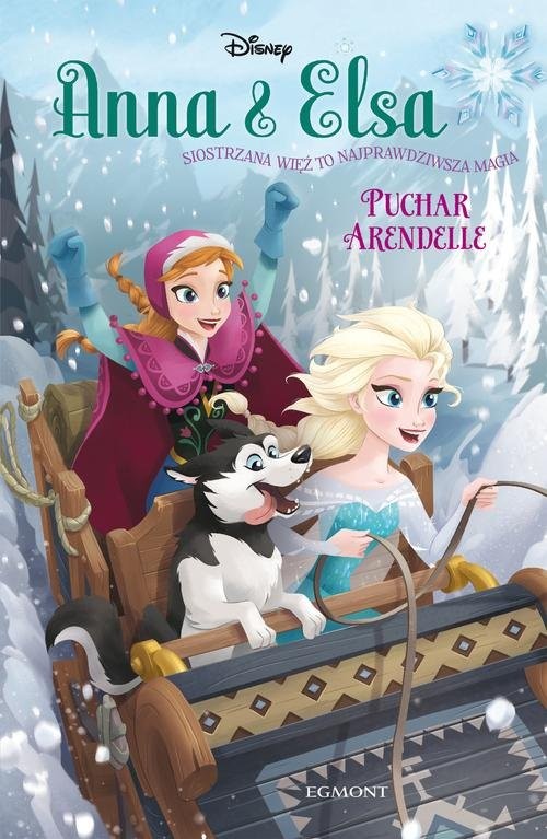 okładka Kraina lodu Anna i Elsa Puchar Arendelle książka | Erica David
