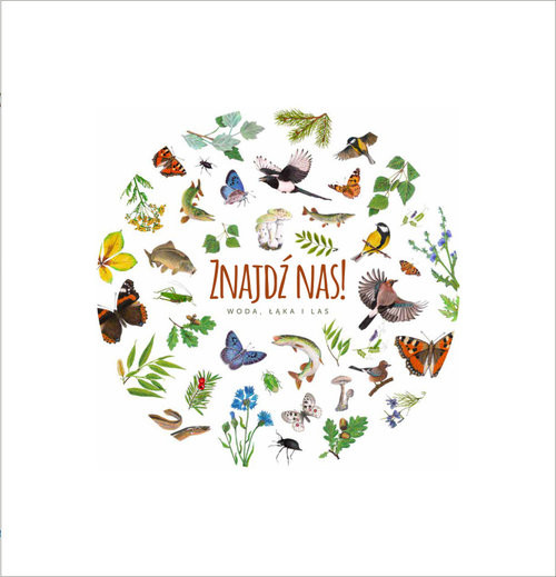 okładka Znajdź nas Woda łąka i las książka | Kasia Jacobson