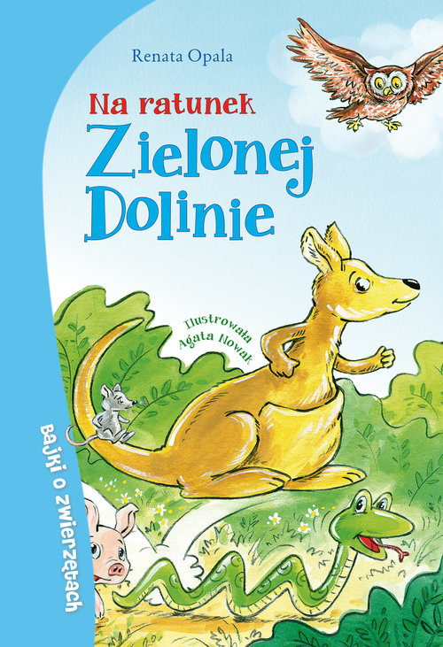 okładka Na ratunek Zielonej Dolinie książka | Renata Opala