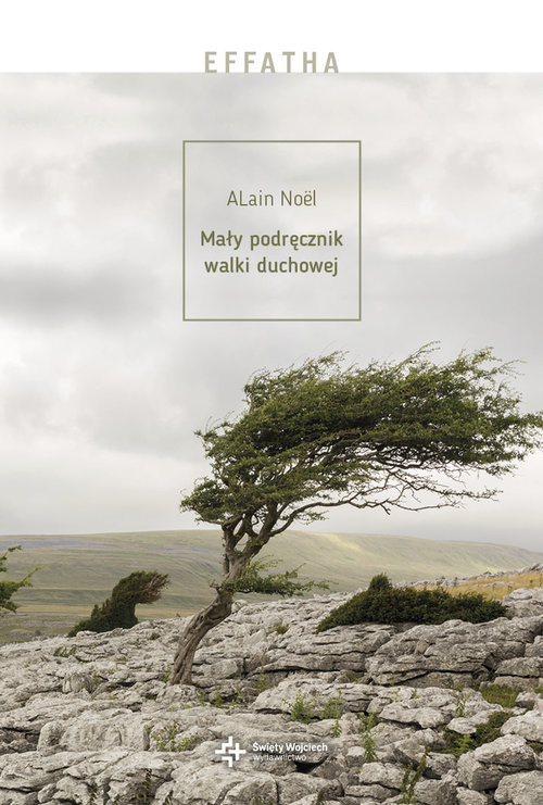 okładka Mały podręcznik walki duchowej książka | Alain Noe