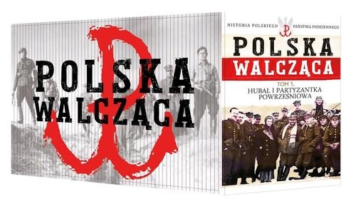 okładka Kobieta w konspiracji książka