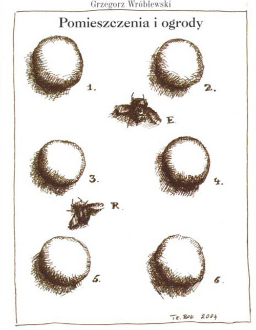 okładka Pomieszczenia i ogrody książka | Grzegorz Wróblewski