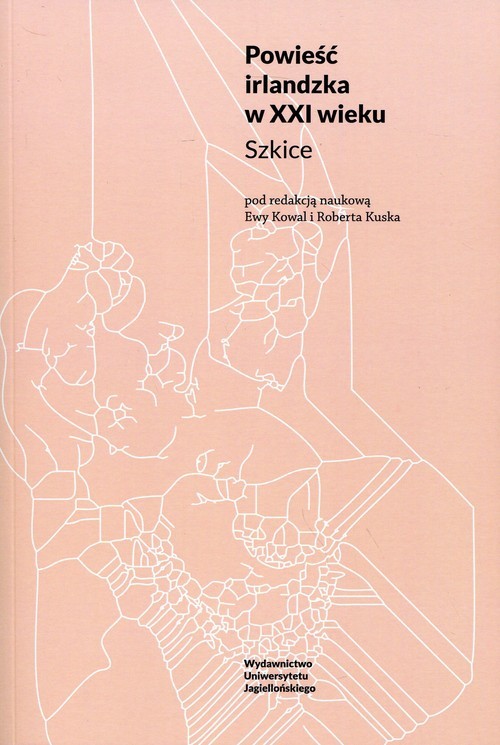 okładka Powieść irlandzka w XXI wieku Szkice książka