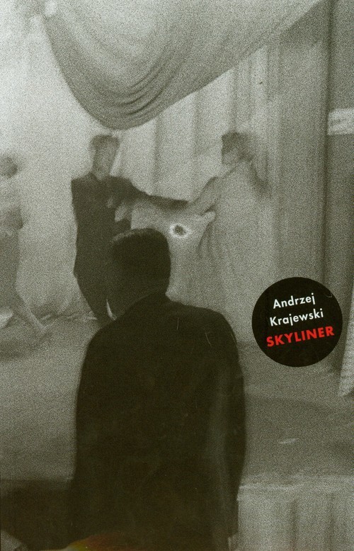 okładka Skyliner książka | Andrzej Krajewski