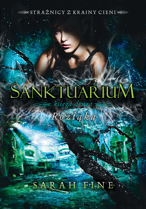 okładka Sanktuarium 2 Rozłąka książka | Fine Sara