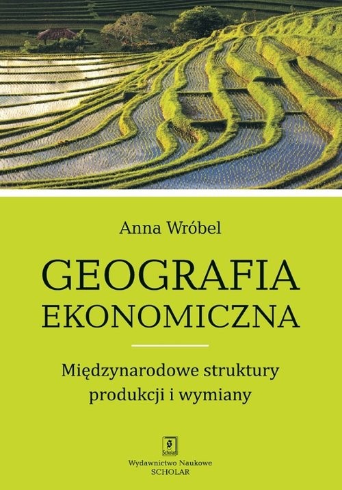 okładka Geografia ekonomiczna Międzynarodowe struktury produkcji i wymiany książka | Anna Wróbel