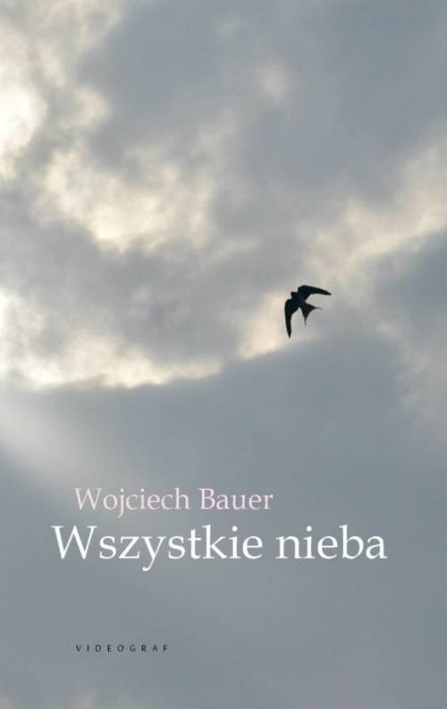 okładka Wszystkie nieba książka | Wojciech Bauer