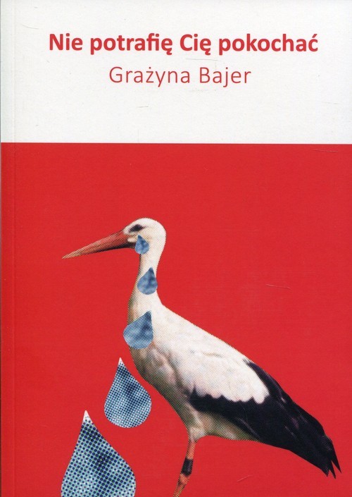okładka Nie potrafię Cię pokochać książka | Bajer Grażyna