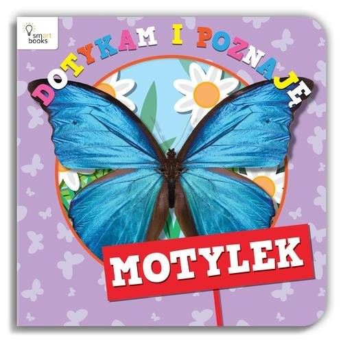 okładka Dotykam i Poznaję Motylek książka