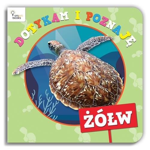 okładka Dotykam i poznaję Żółw książka