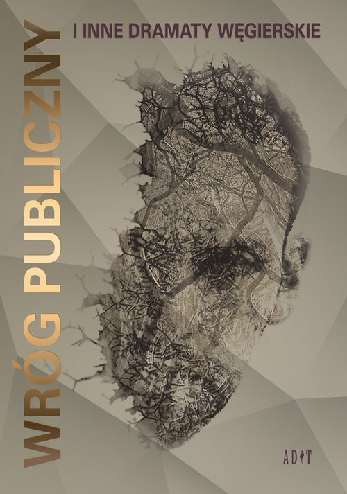 okładka Wróg publiczny i inne dramaty wegierskie Wybór dramatów Patrycja Paszt książka | Paszt Patrycja