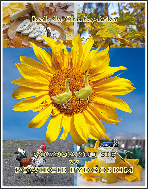 okładka Rozsmakuj się w powiecie bydgoskim książka | Izabela Chudzyńska