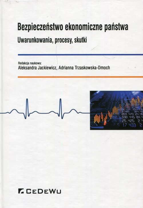 okładka Bezpieczeństwo ekonomiczne państwa Uwarunkowania, procesy, skutki książka