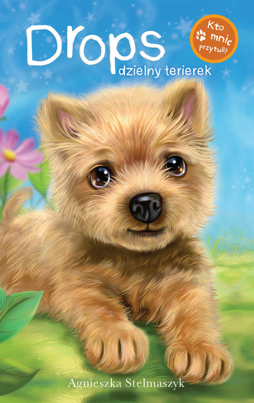 okładka Drops dzielny terrierek książka | Agnieszka Stelmaszczyk