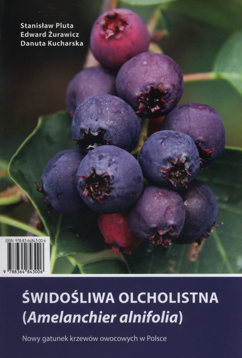 okładka Świdośliwa olcholistna książka | Stanisław Pluta, Edward Żurawicz, Danuta Kucharska