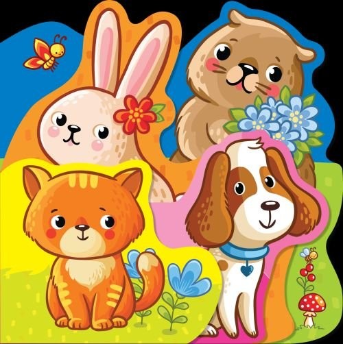 okładka Książeczka do kąpieli Zwierzęta domowe książka