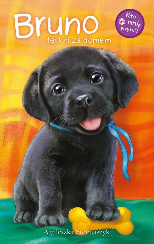 okładka Bruno tęskni za domem książka | Agnieszka Stelmaszczyk