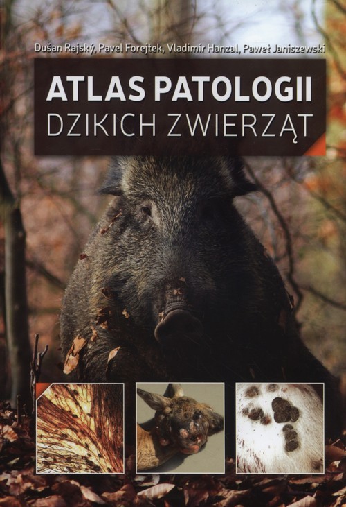 okładka Atlas patologii dzikich zwierząt książka | Dusan Rajský, Forejtek Pavel ., Vladimir Hanzal, Paweł Janiszewski