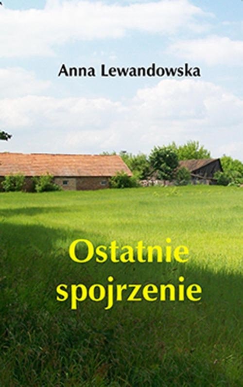 okładka Ostatnie spojrzenie książka | Anna Lewandowska