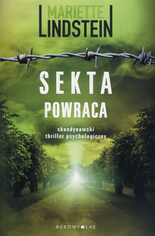 okładka Sekta powraca książka | Mariette Lindstein