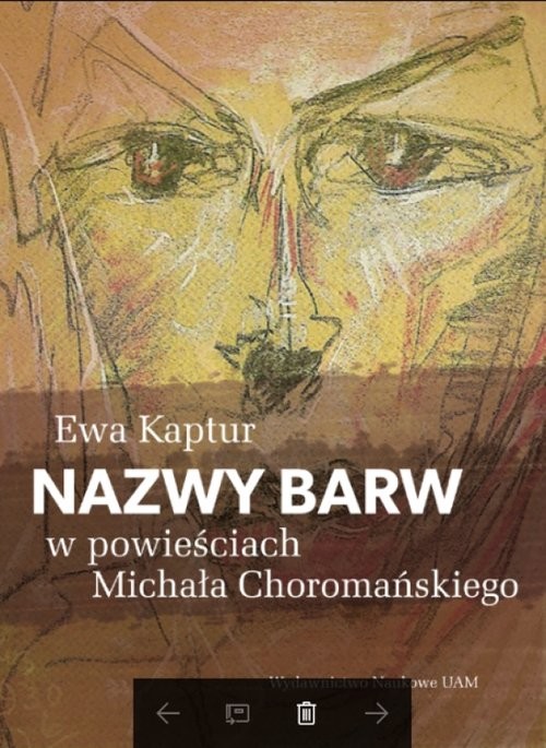 okładka Nazwy barw w powieściach Michała Choromańskiego książka | Ewa Kaptur