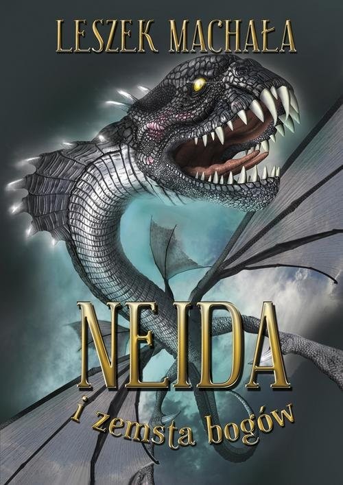 okładka Neida i zemsta bogów książka | Machała Leszek