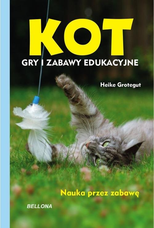 okładka Kot Gry i zabawy edukacyjne książka | Grotegut Heike