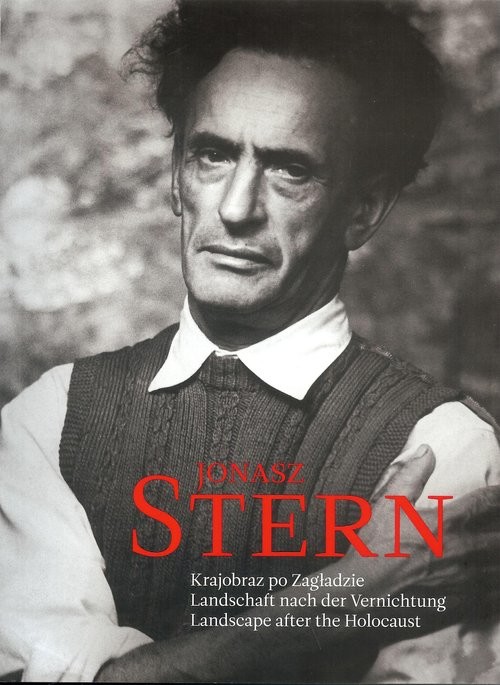 okładka Krajobraz po zagładzie książka | Stern Jonasz