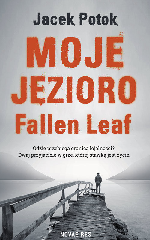 okładka Moje Jezioro Fallen Leaf książka | Potok Jacek