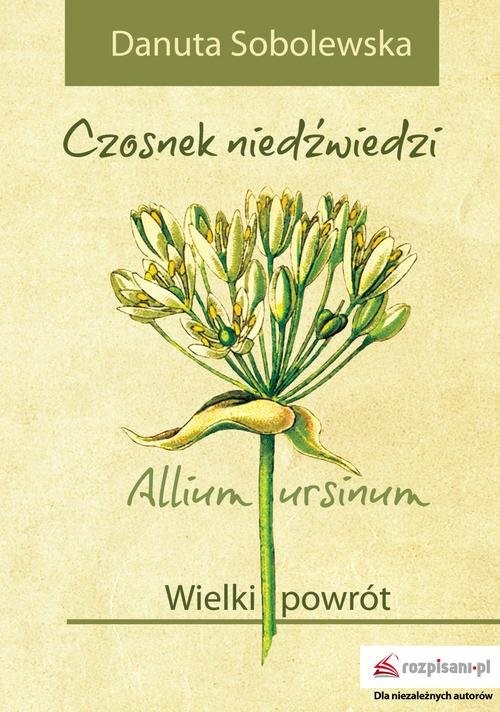 okładka Czosnek niedźwiedzi - Allium ursinum Wielki powrót książka | Sobolewska Danuta