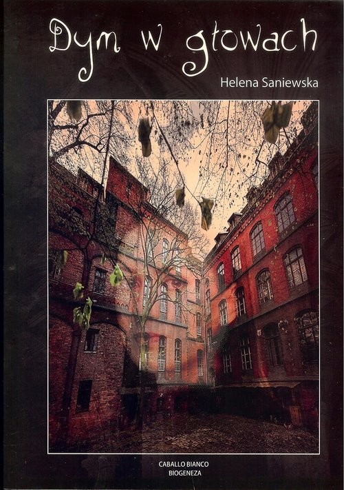 okładka Dym w głowach książka | Helena Saniewska