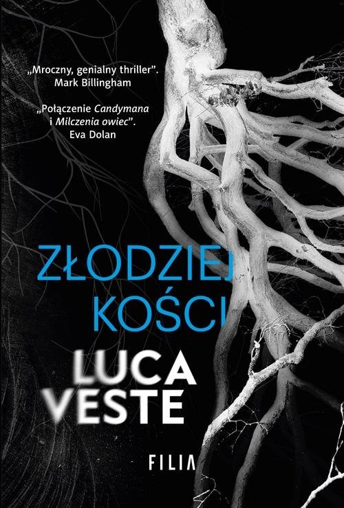 okładka Złodziej kości książka | Luca Veste