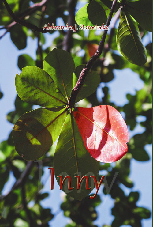 okładka Inny książka | Aleksandra J. Starostecka