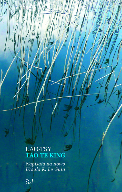 okładka Tao Te King czyli Księga Drogi książka | Tsy Lao