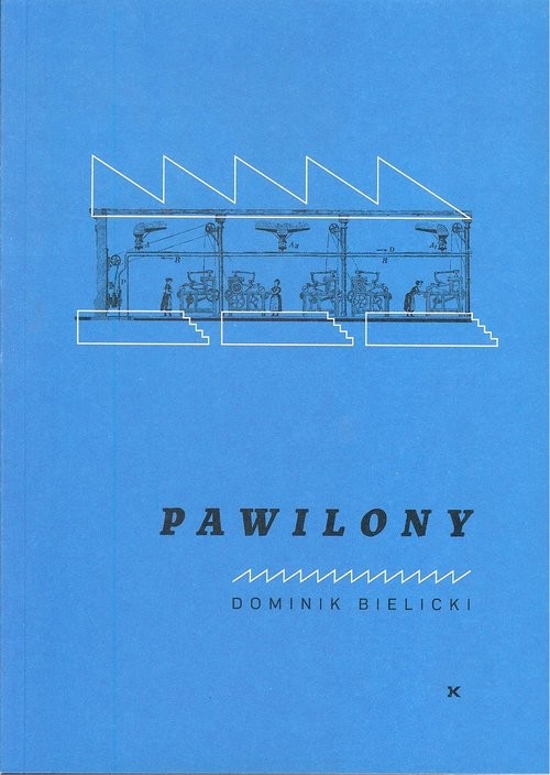okładka Pawilony książka | Bielicki Dominik