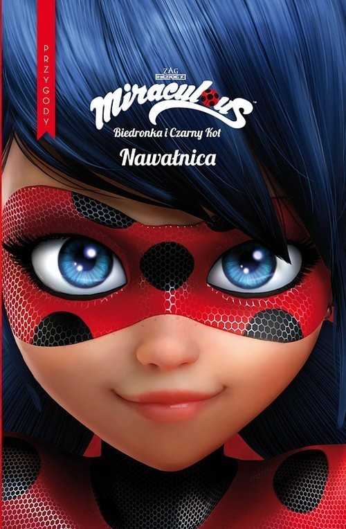 okładka Biedronka Przygody Nawałnica książka