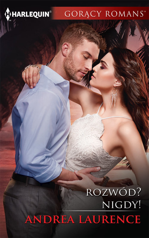 okładka Rozwód Nigdy Gorący Romans książka | Andrea Laurence