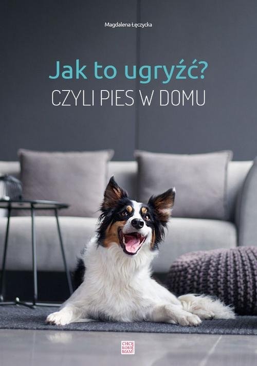 okładka Jak to ugryźć? Czyli pies w domu książka | Łęczycka Magdalena